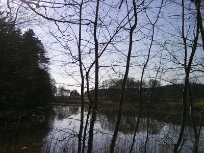 DSC00093